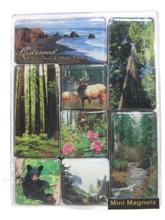 Redwood National & State Parks Mini Magnet 8-Pack