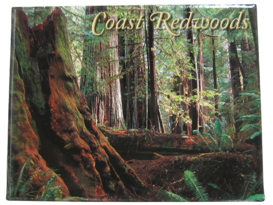 Coast Redwoods Old Growth Magnet