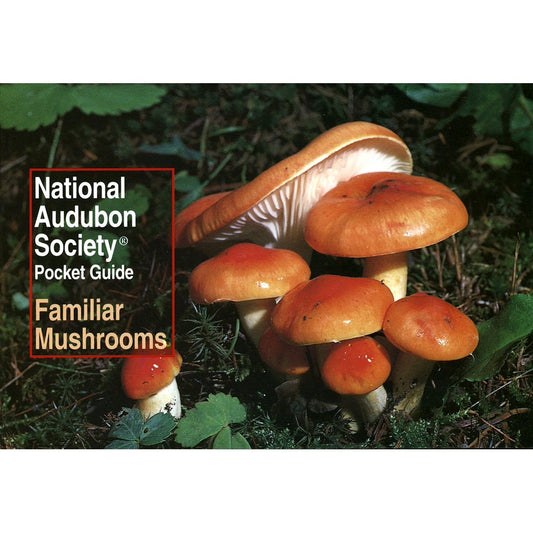 National Audubon Society Pocket Guide: Familiar Mushrooms Paperback